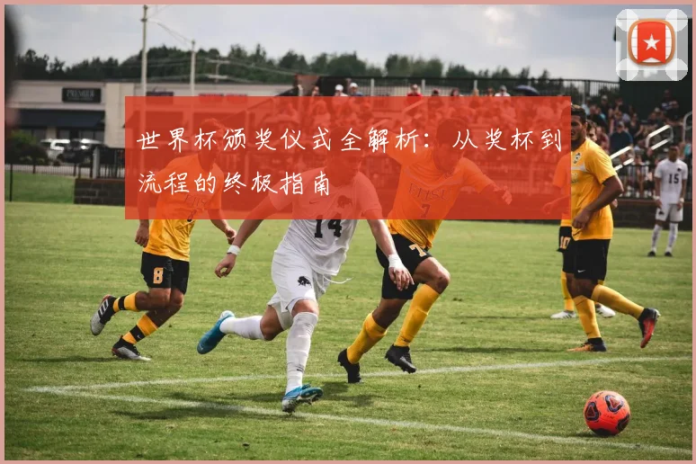 世界杯颁奖仪式全解析：从奖杯到流程的终极指南