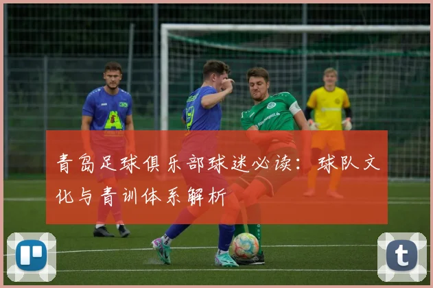青岛足球俱乐部球迷必读：球队文化与青训体系解析