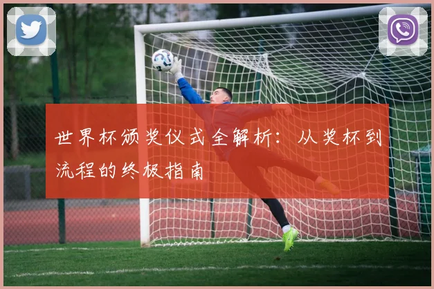 世界杯颁奖仪式全解析：从奖杯到流程的终极指南